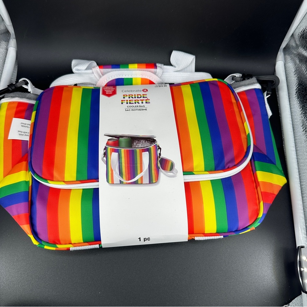 Rainbow Striped Lunch Bag
